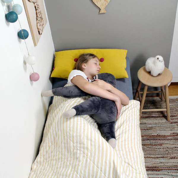 Sansebamse store bent sove samme med et bane i seng 