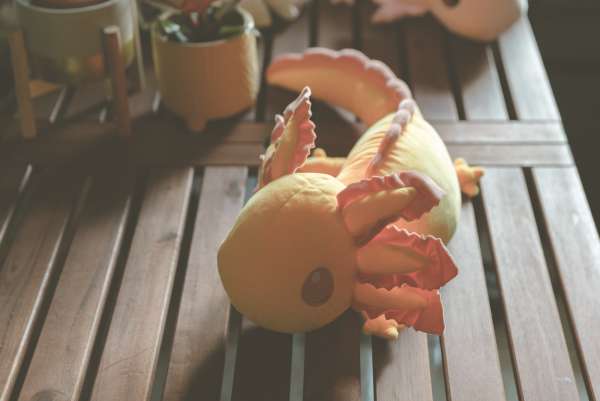 Person holder gul sansebamse axolotl – tyngdebamse til ro, tryghed og sansestimulering

