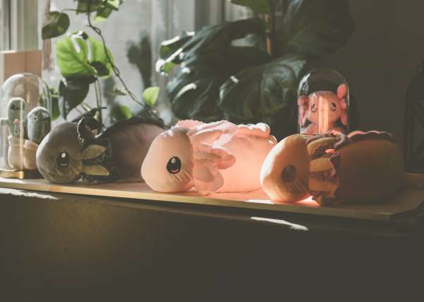 Gul sansebamse axolotl ligger i vindueskarm – blød og tryghedsskabende bamse til børn

