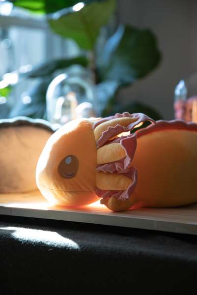 Sansebamse axolotl i gul ligger i sollys – sansestimulerende og beroligende tyngdebamse

