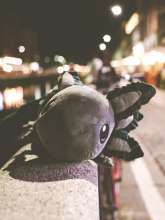 Axolotl fra Axol & Friends i grå