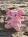 Tyngdebamse Axolotl Pink Mini