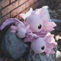 Pink axolotl i alle 3 størrelser