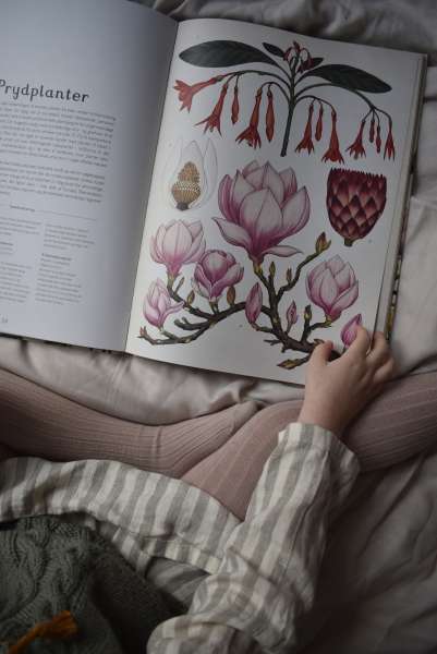 Børn læser i bogen Botanicum fra Forlaget Mammut