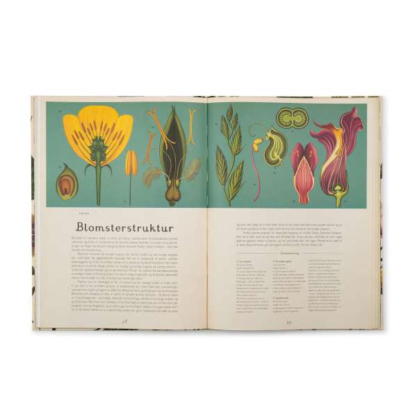 Sideeksempel i bogen Botanicum fra Forlaget Mammut