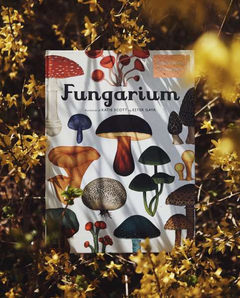 Bogen Fungarium fra forlaget Mammut ligger i en forsythia