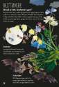 Uddrag fra den store bog om blomster fra forlaget mammut