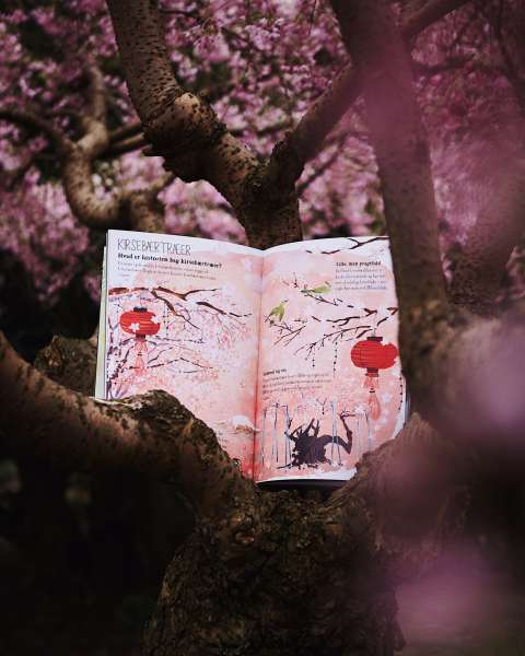 Den store bog om blomster fra forlaget mammut ligger i et japansk kirsebærtræ