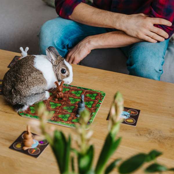 Kanin på Smart games grabbit spilbræt