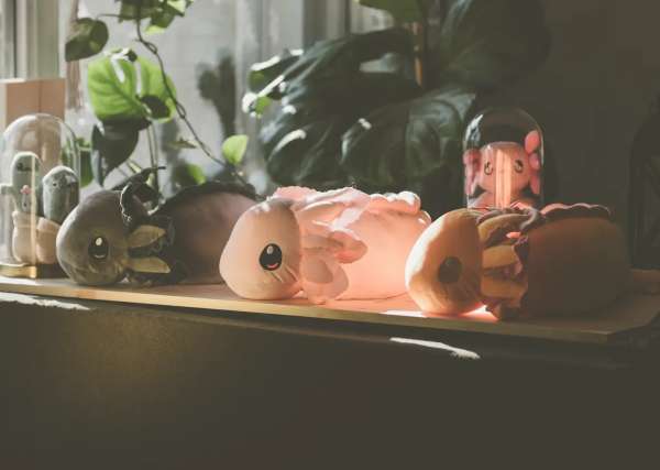 Gul axolotl sansebamse i mellem størrelse holdt frem, hvor form og blødt materiale tydeligt fremhæves