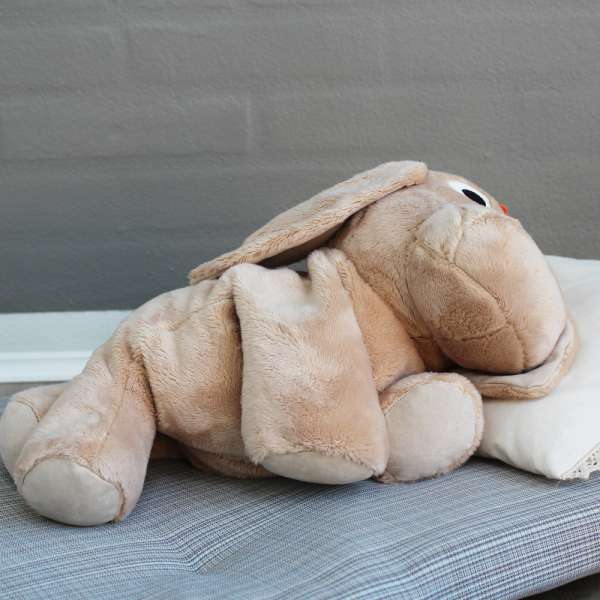 Æslet Rita close-up liggende – blød bamse med sanselig støtte

