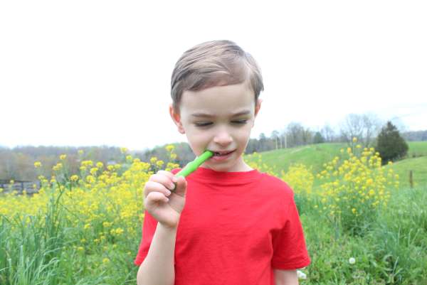 Barn bruger ARK Magic Wand – tyggeredskab til oral motorik og sanselig regulering

