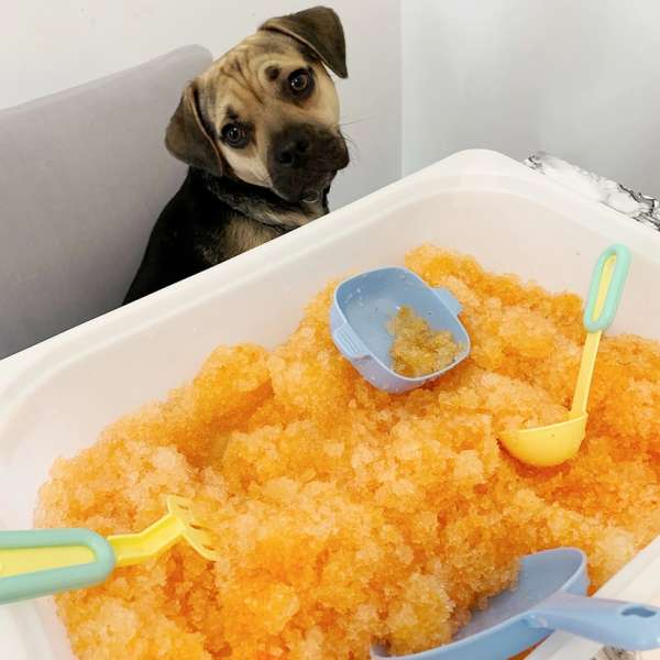 Glitter Gelli anvendt i sanseaktivitet med fokus på tekstur og visuel stimulering