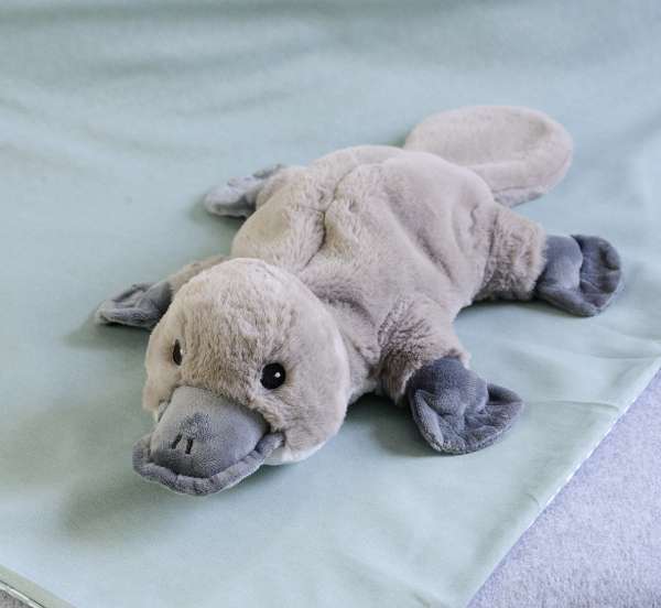 Warmies® Næbdyr – stimulerer sanserne og skaber en følelse af tryghed.

