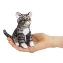 Fingerbamse Tabby kat sider en  hånd 