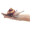 Fingerbamse snegl sidder på en hånd 