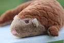 Sansebamse pangolin close-up – blød brun bamse med sødt ansigt og detaljer

