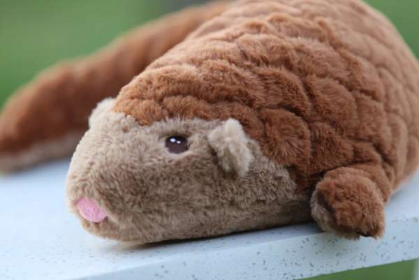 Sansebamse pangolin close-up – blød brun bamse med sødt ansigt og detaljer

