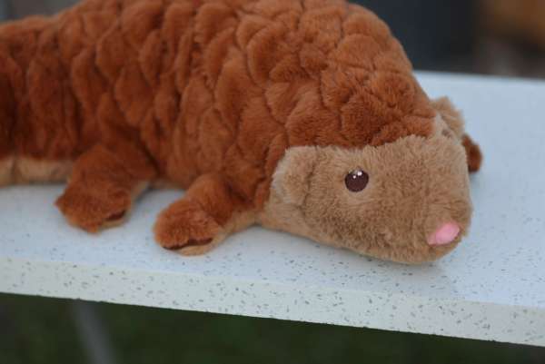 Sansebamse pangolin detalje – blød brun pels og naturtro design

