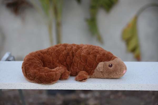 Pangolinen Java placeret klar til brug som kramme- og sansebamse med tydelige kropsdetaljer