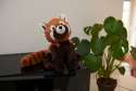 Warmies rød panda ved plante – blød og rolig atmosfære


