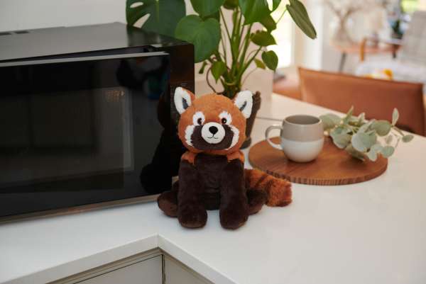 Warmies sansebamse, rød panda sidder på et køkkenbord ved siden af en mikroovn 