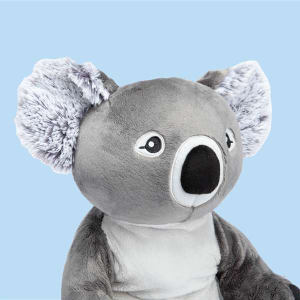 Koalaen Quinn close-up – blød tyngdebamse med roligt og trygt udtryk

