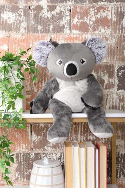 Koalaen Quinn placeret på stol – tyngdebyrde til ro og hyggelige pauser

