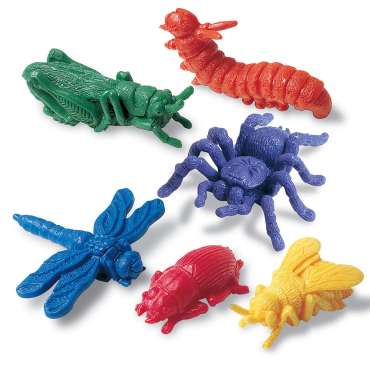 Insekter, sorteringsleg