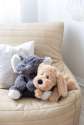 Elefanten Eleanor sammen med Hundehvalpen Charlie