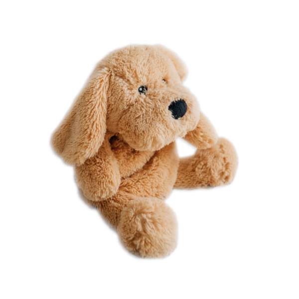 Hundehvalpen Charlie