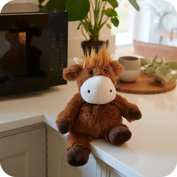 Sansebamse Warmies højlandsko sidder på en køkkenbord 