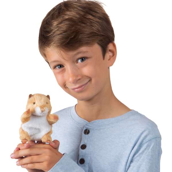 Fingerbamse Hamster sammen med en dreng 