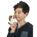 Fingerbamse hund sammen med en dreng 