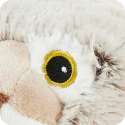 Sansebamse Warmies Los
