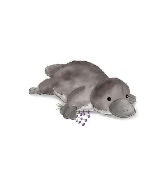 Sansebamse Warmies Næbdyr