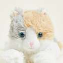 Sansebamse Warmies Calico Kat set forfra