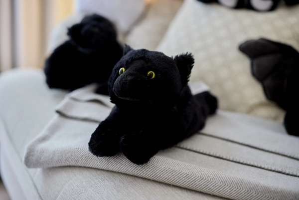 Sansebamse Warmies sort kat