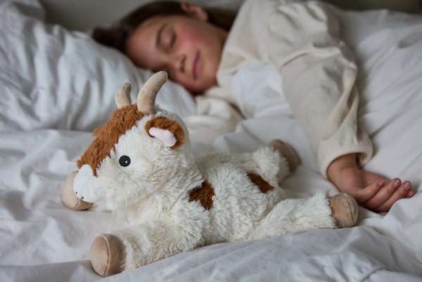 Sansebamse Warmies liggende ged sover sammen med en pige i en seng 