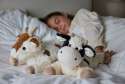Sansebamse Warmies liggende ko sammen med sin ven ged og en pige I en seng 