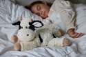 Sansebamse Warmies liggende ko sover sammen med en pige I en seng 