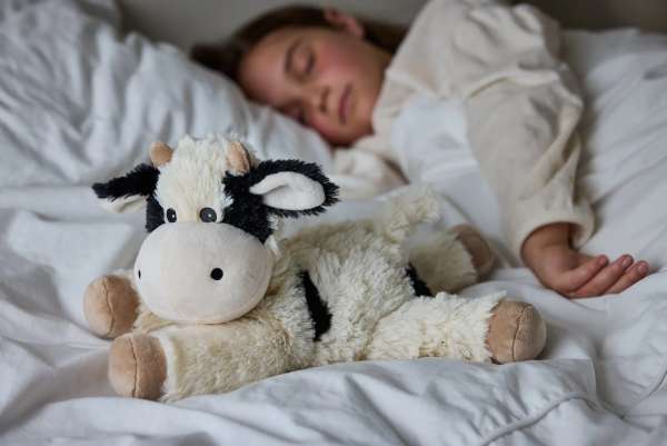 Warmies ko i seng – sansebamse til ro, varme og afslapning


