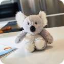 Warmies koala på bord – varmende sansebamse til hverdagsro


