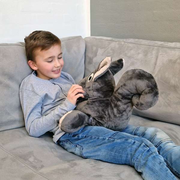 En dreng sidde i en sofa sammen med Sansebamsen Egernet Eric