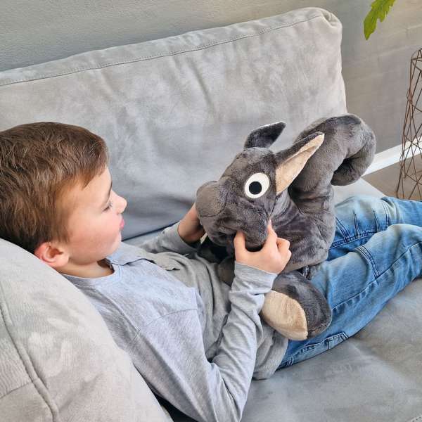 Sansebamsen Egernet Eric hygge sammen med en dreng i en sofa