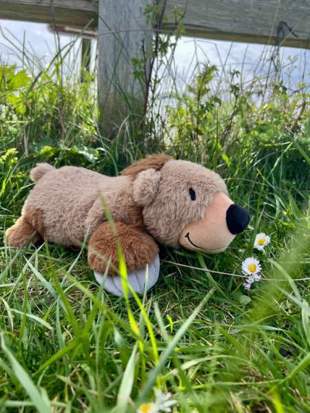 Bjørn sansebamse med tyngde udendørs