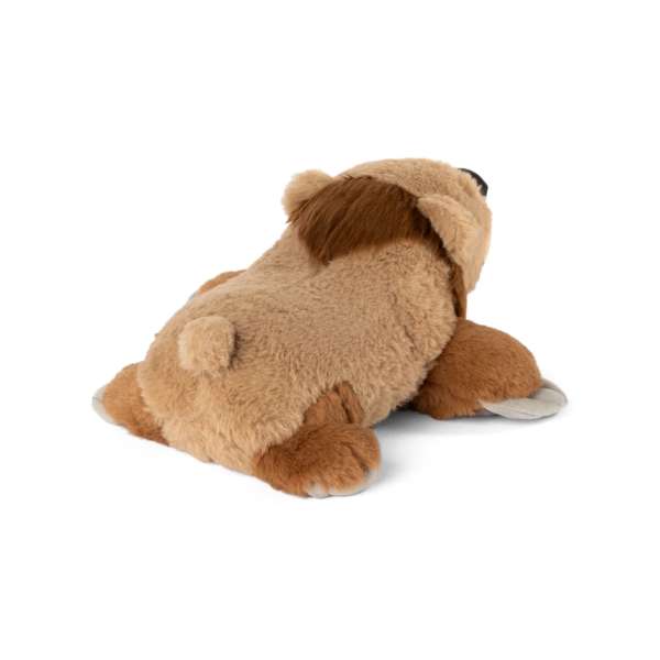 Bjørn sansebamse med tyngde bag fra