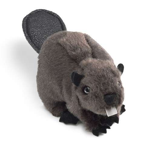 Bæver fingerbamse set forfra 
