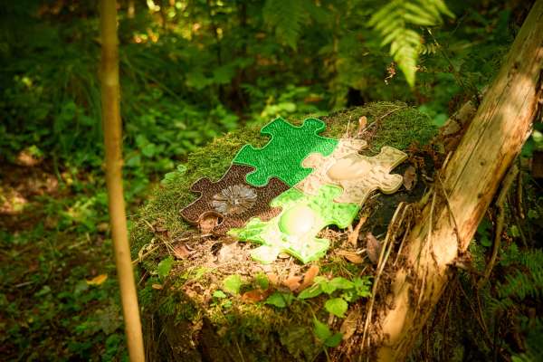 Sansegulv Skoven lagt i natur – inspireret af skovbund

