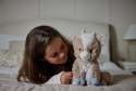 En pige ligge i en seng sammen med Sansebamse Warmies siddende ged